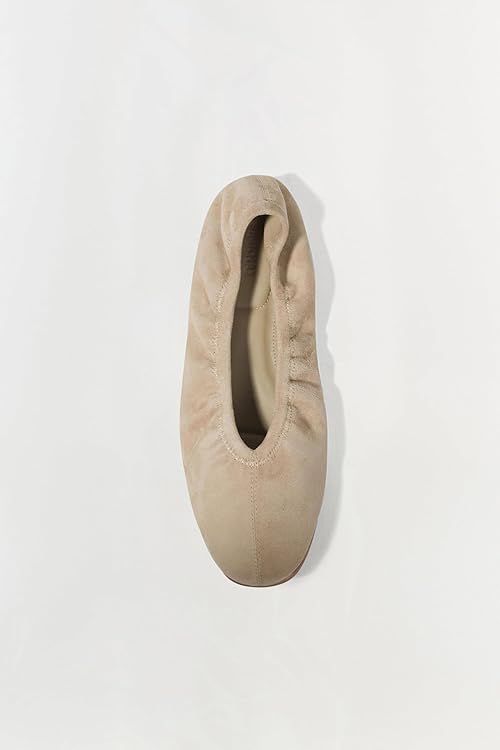 Danna Suede Ballet Flat